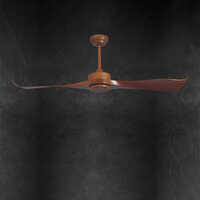 Canary Designer Fans