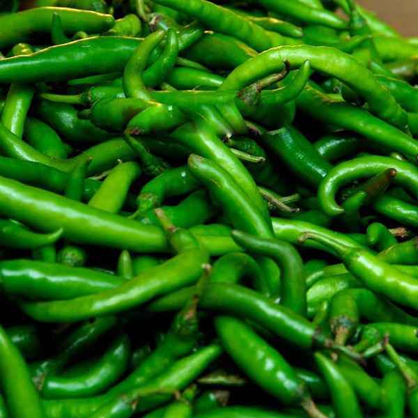 Green Chilli Green Chilli