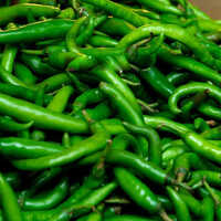Green Chilli