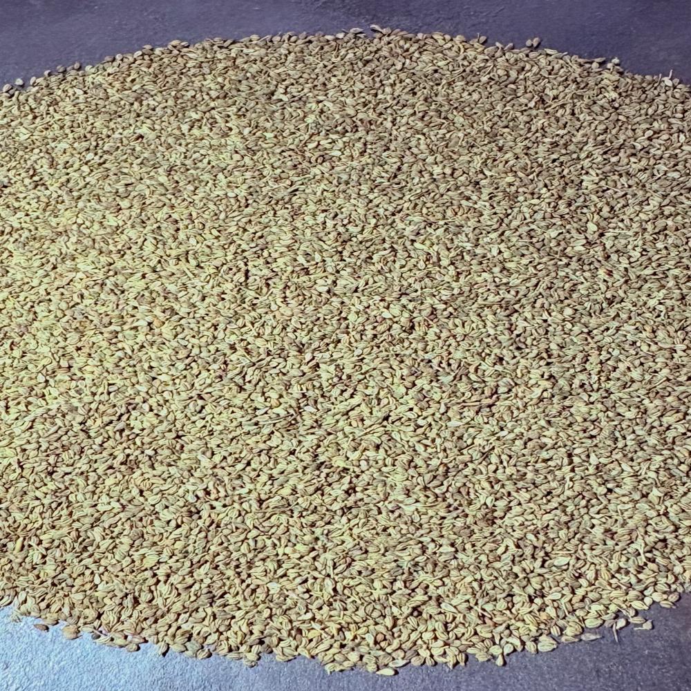 Organic Ajwain Seeds
