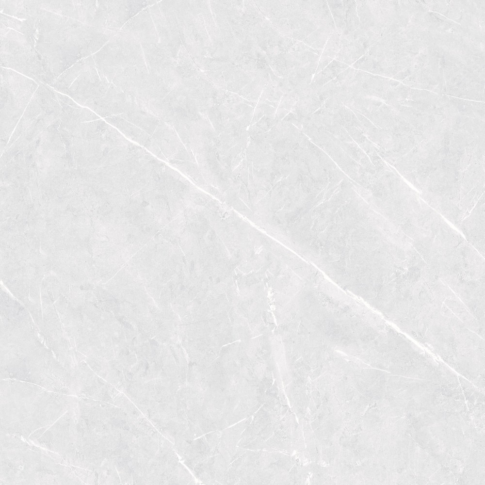 Champina Gris - Application: Floor Tiles