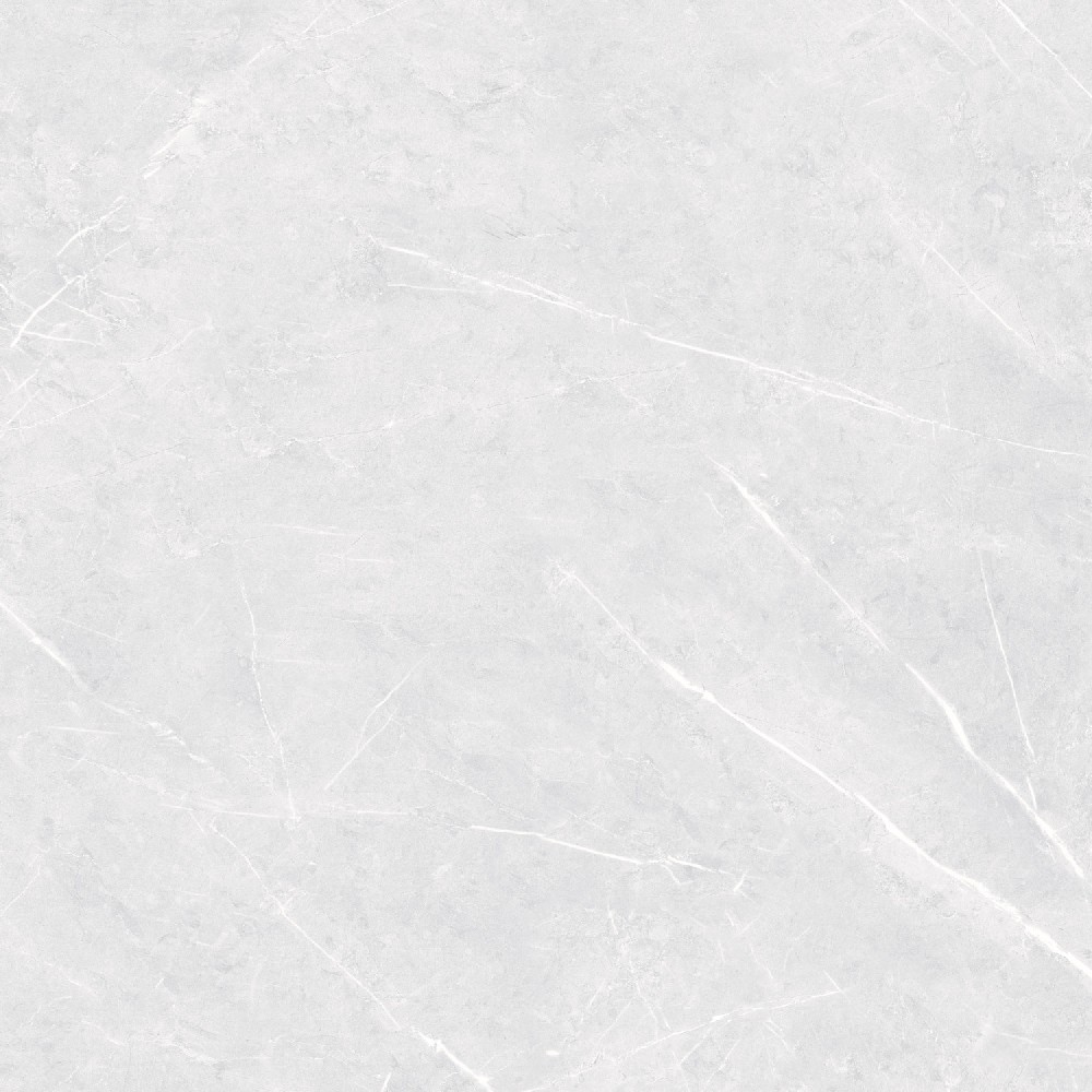 Champina Gris - Application: Floor Tiles