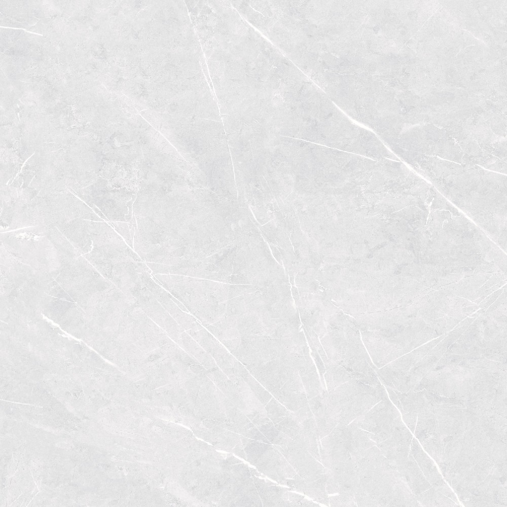 Champina Gris - Application: Floor Tiles