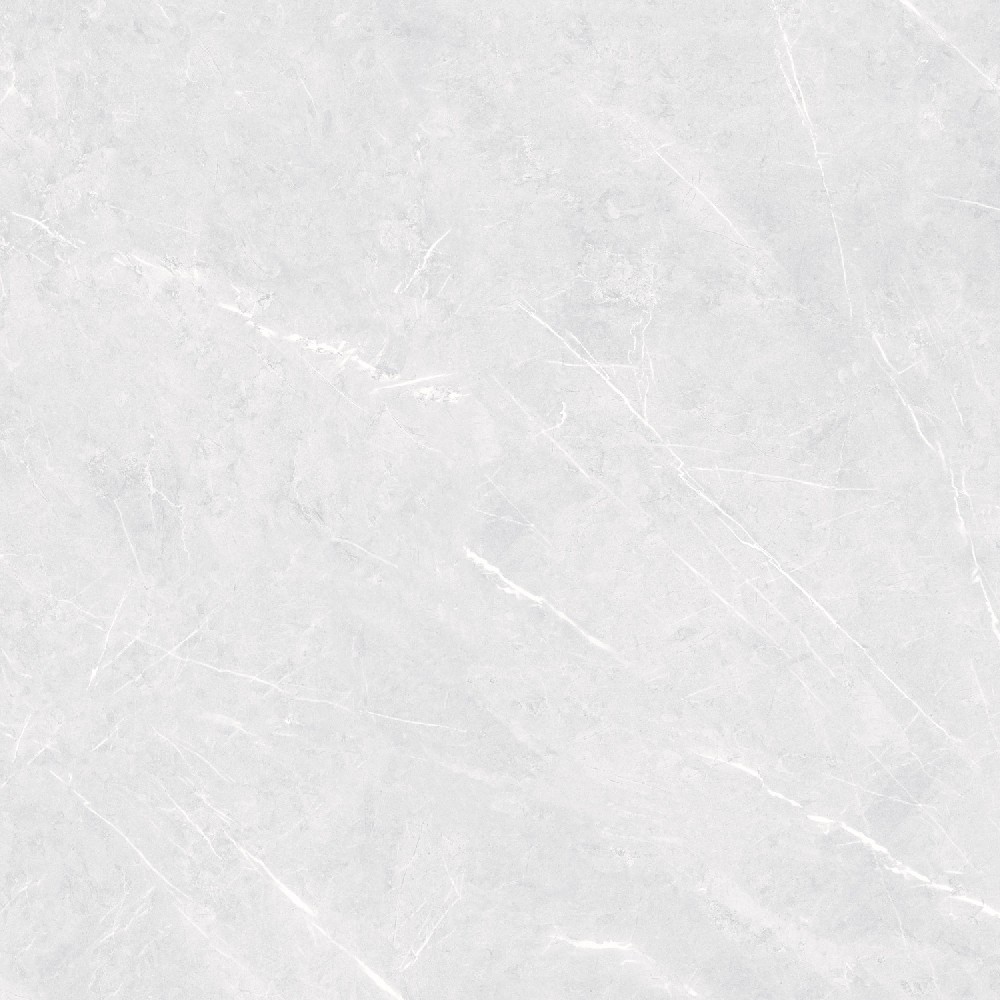 Champina Gris - Application: Floor Tiles