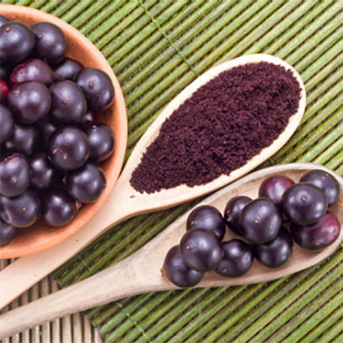 Jamun Powder - Shelf Life: 12 Months