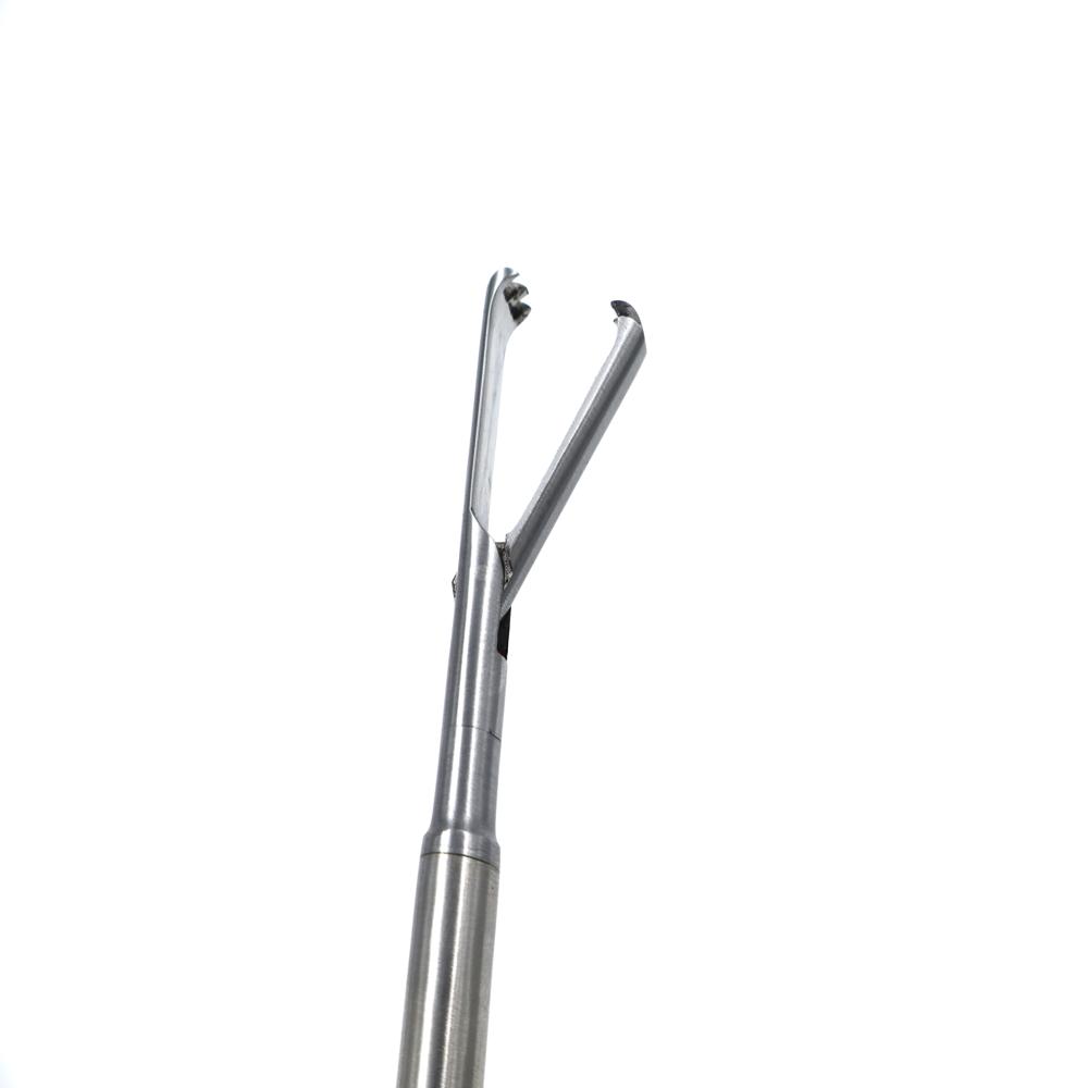 10mm Claw Forcep With Silver Handle - Feature: - Claw-shaped Tip