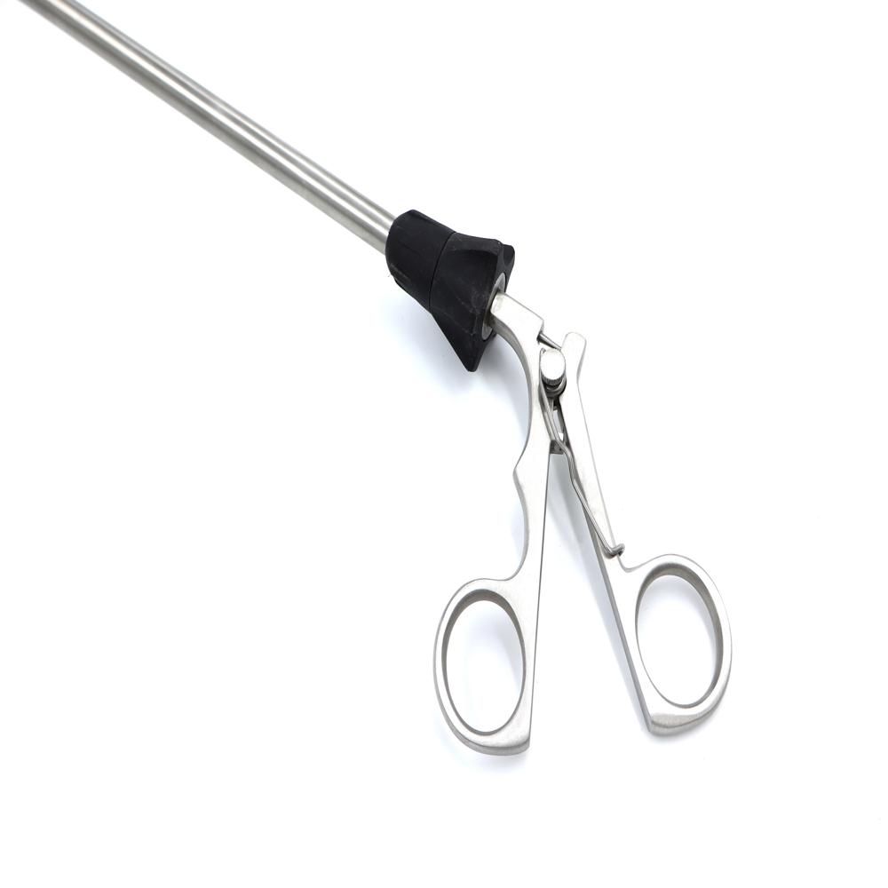 10mm Claw Forcep With Silver Handle - Feature: - Claw-shaped Tip