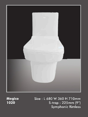 One piece Toilet- Megico
