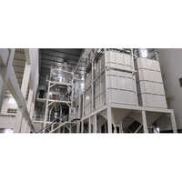 CUMIN SEEDS SO RTEX PLANT