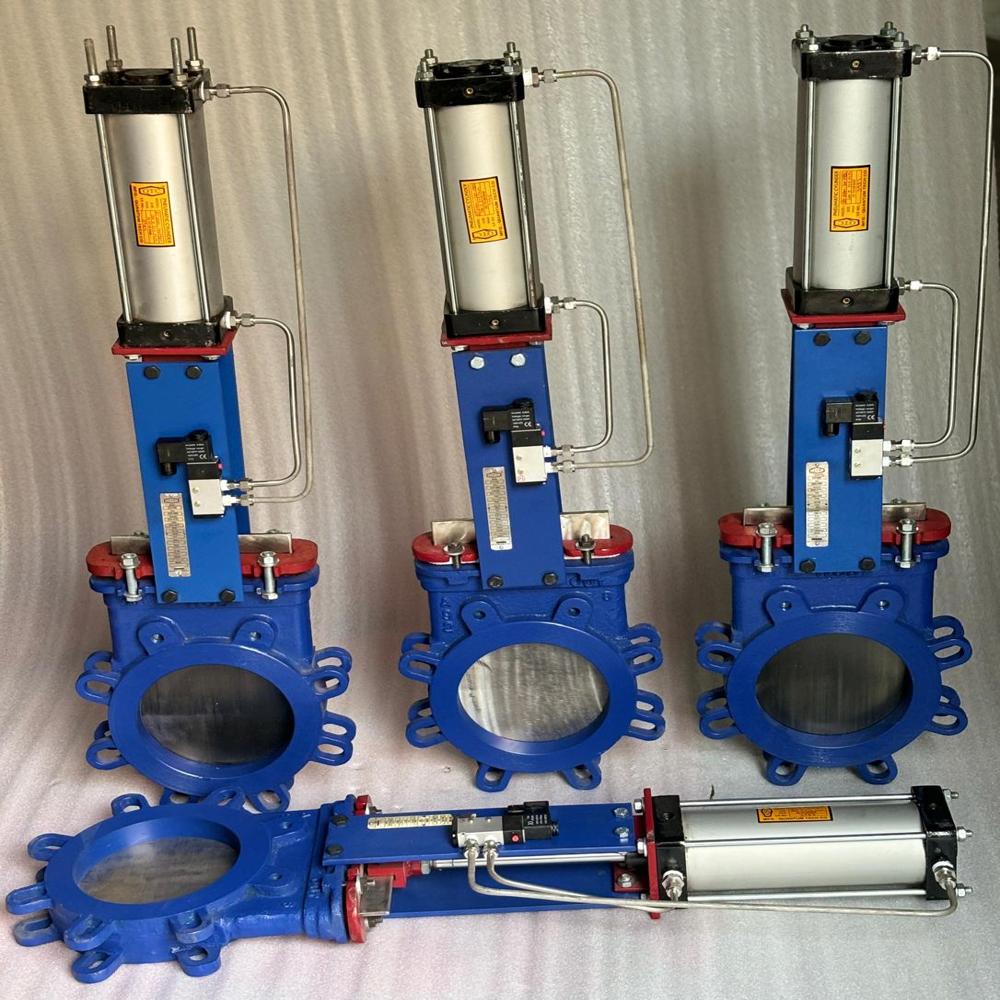 Knife Edge Gate Valve
