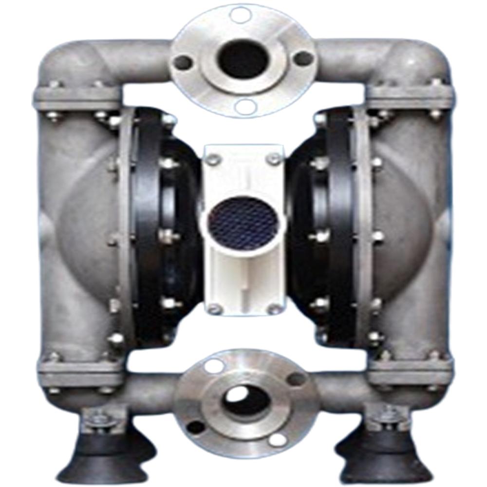 SS-316 Diaphragm Pump