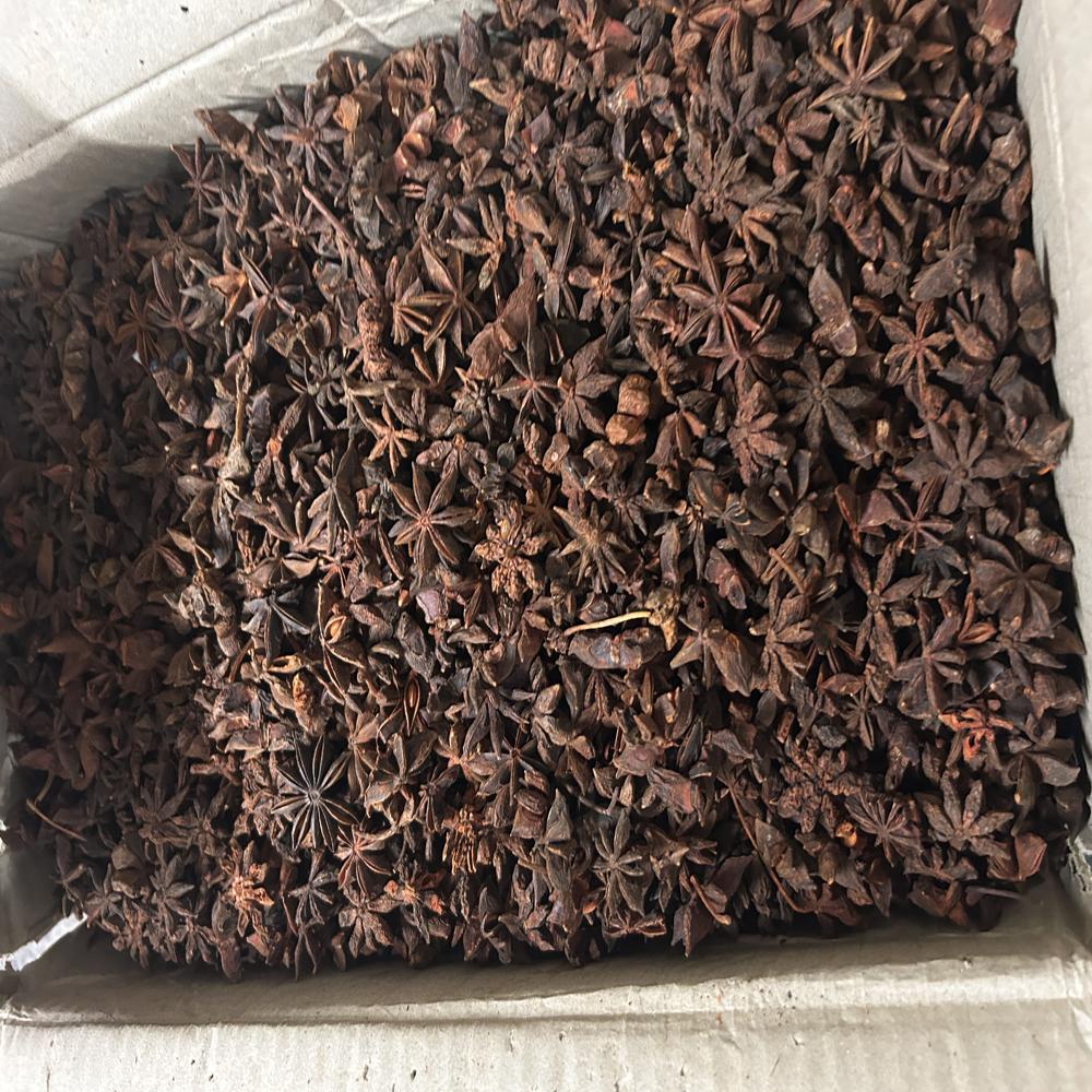Karanful / Star Anise - Color: Black