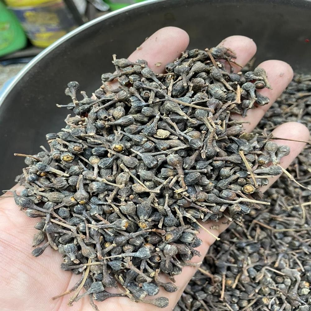 Nageshwar / Nagkesar - Color: Black