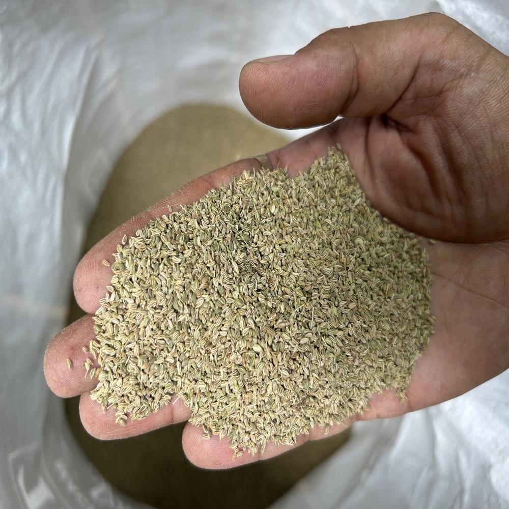 Ajwain / Carom Seeds - Color: Brown