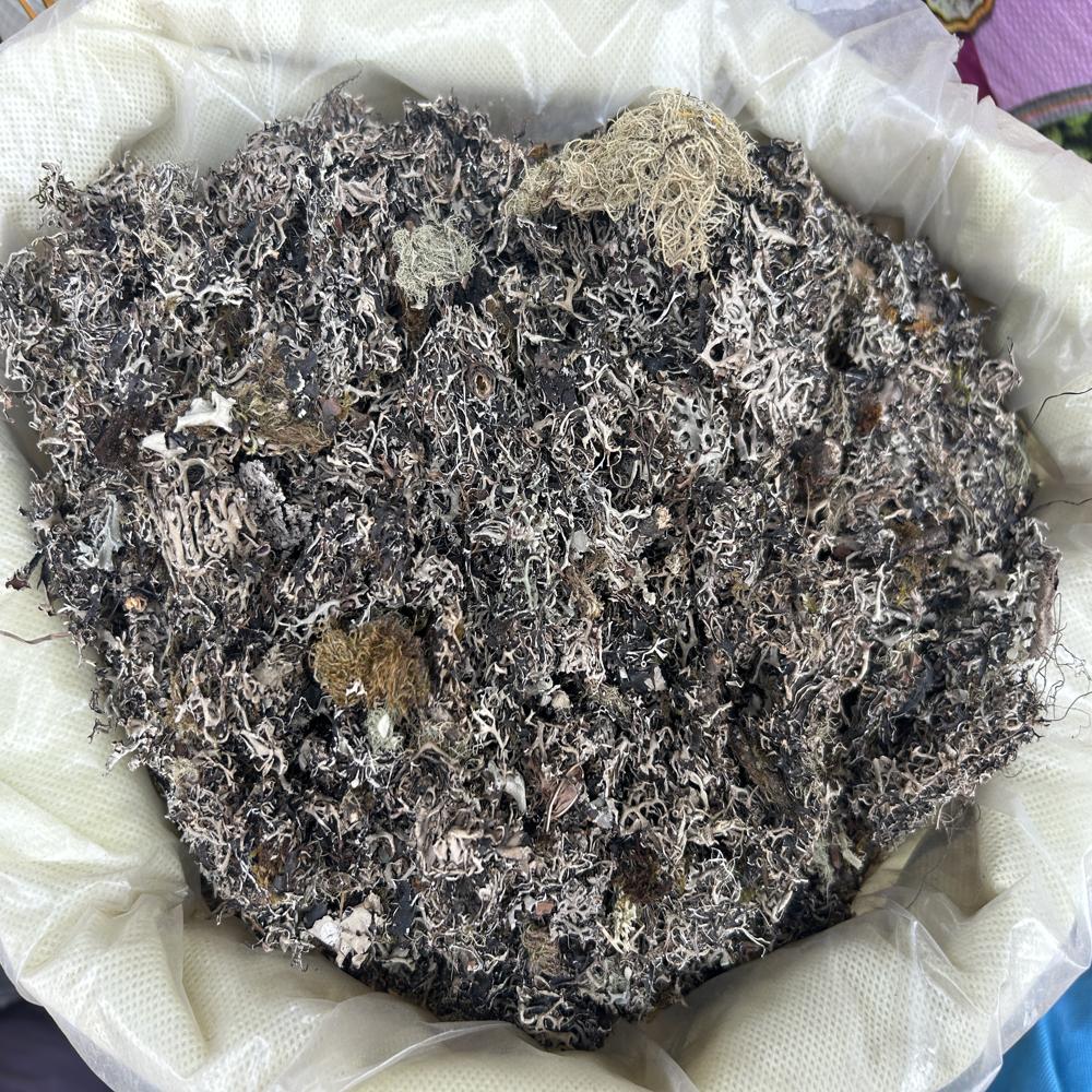 Chadila / Stone Flower - Age Group: Suitable For All