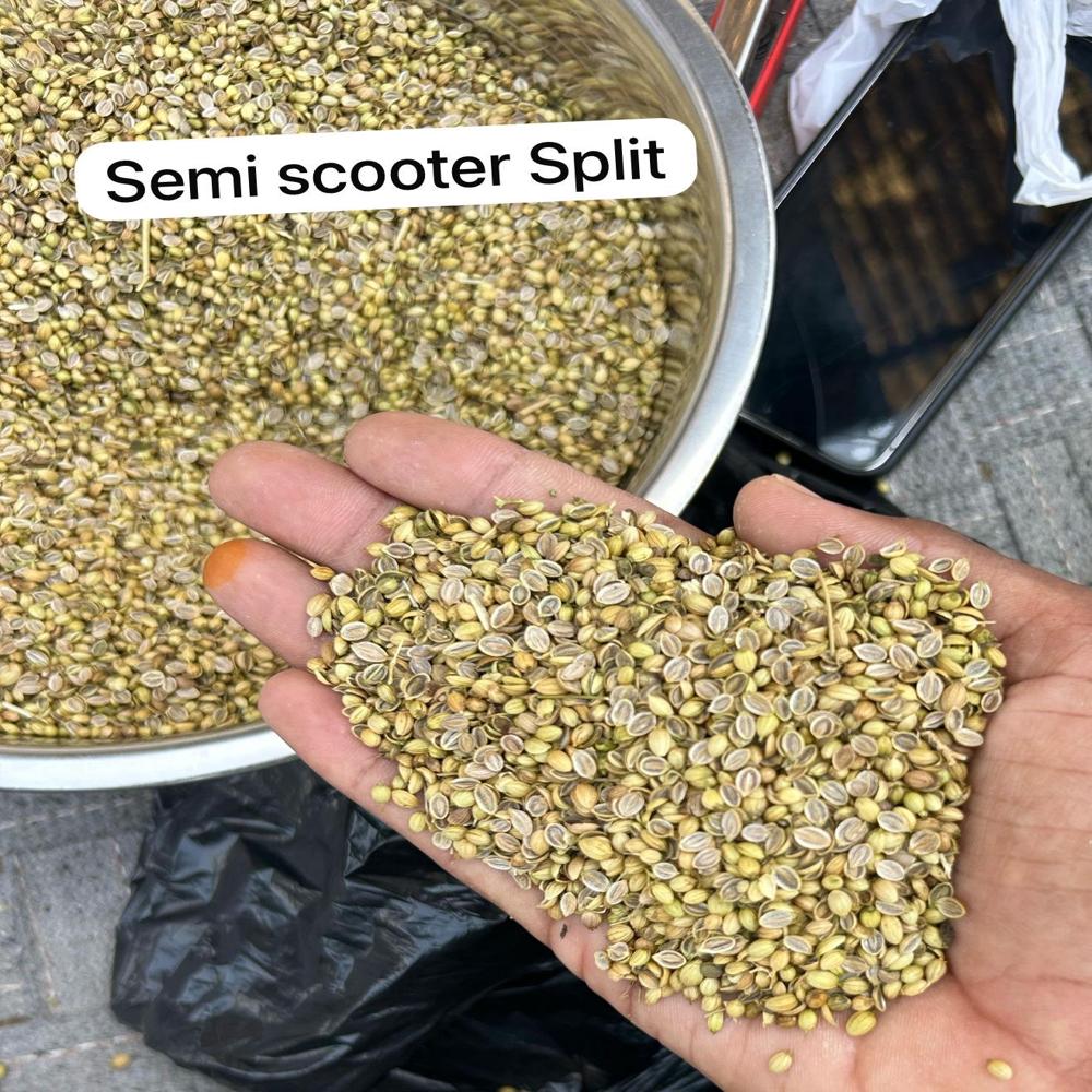 Dhaniya Katori / Dhaniya Dal - Color: Green