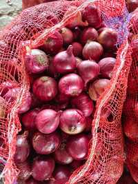 Red Onion
