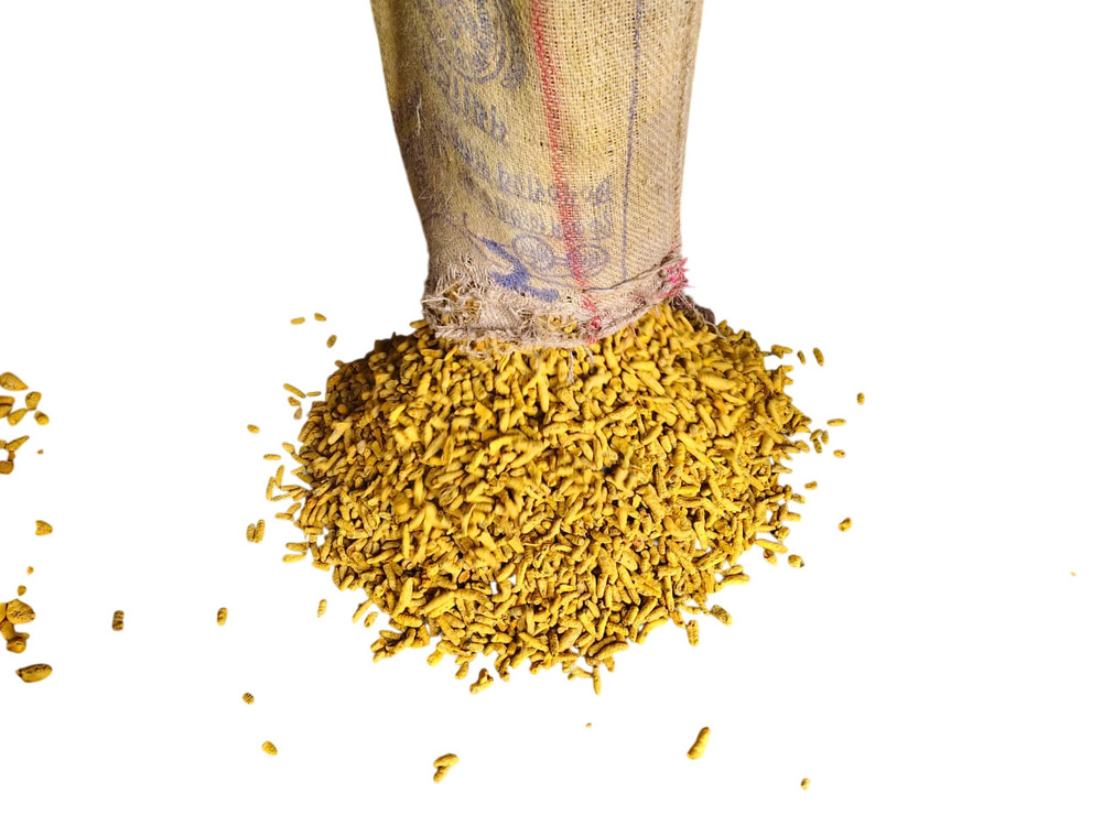 Organic Turmeric Finger - Color: Yellow