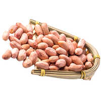 High Quality Groundnut