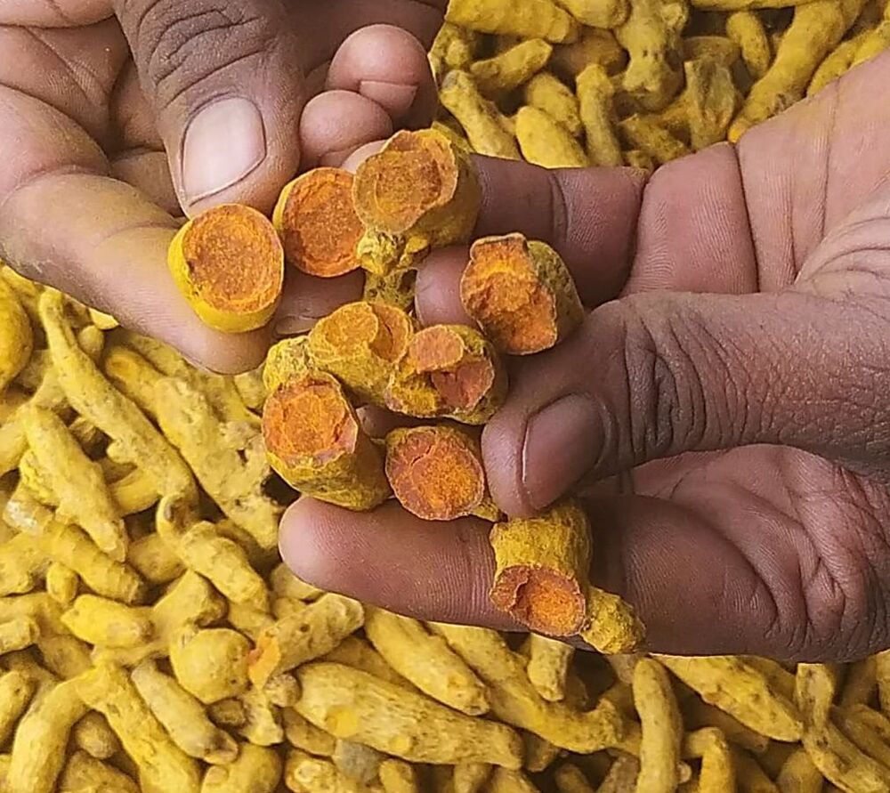 Turmeric Finger