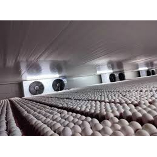 Egg Cold Storage Room - Usage: Industrial