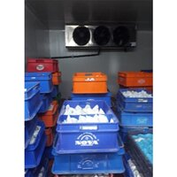 Curd Cold Storage Room