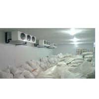 Frozen Peas Cold Storage - Usage: Industrial