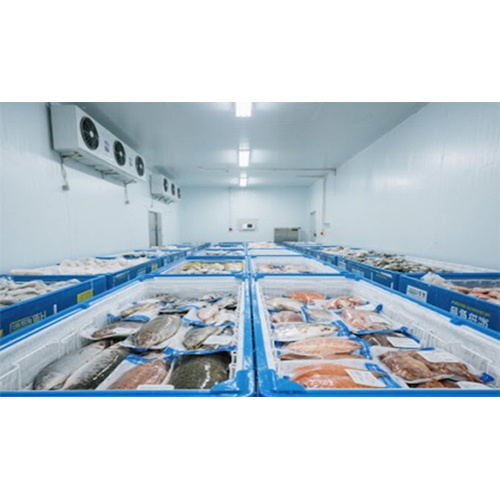 Frozen Fish Cold Room - Usage: Industrial