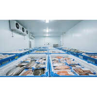 Frozen Fish Cold Room