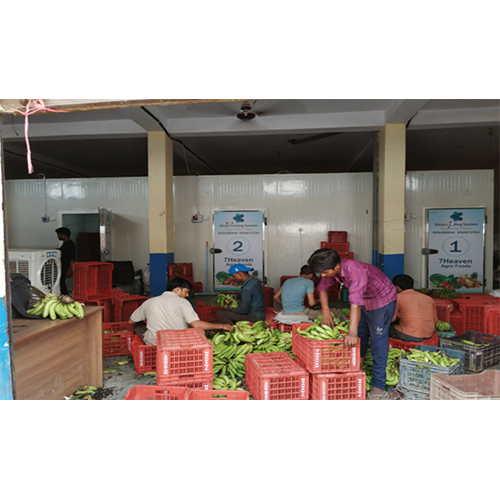 Banana Ripening Chamber - Application: Cold Room