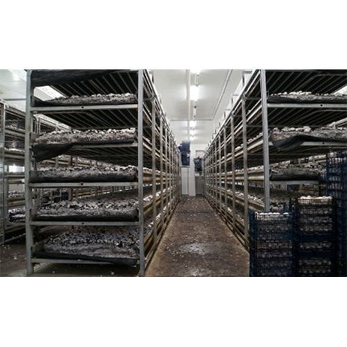 Mushroom Growing Chamber - Application: Industrial