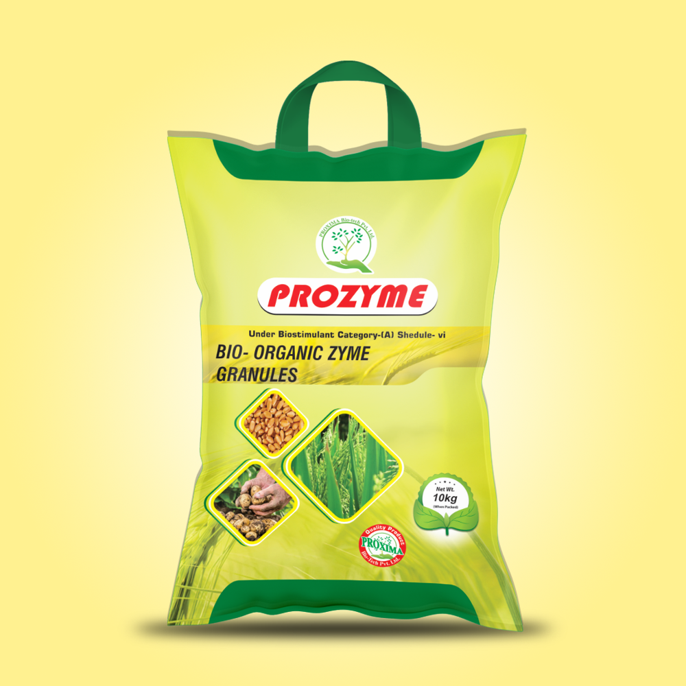 પà«àª°à« àªàª¾àª¯àª® બાયà«-àªàª°à«àªà«àª¨àª¿àª àªàª¾àª¯àª® àªà«àª°àª¾àª¨à«àª¯à«àª²à«àª¸