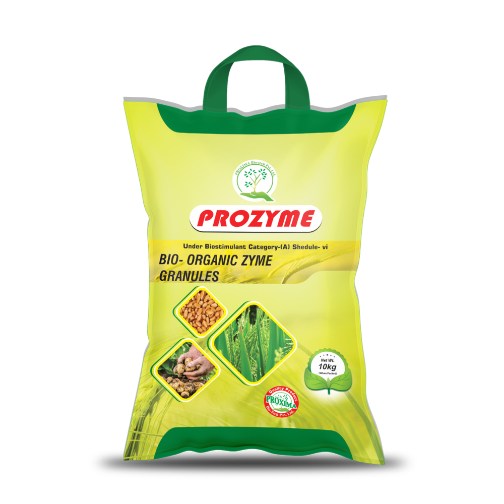 પà«àª°à« àªàª¾àª¯àª® બાયà«-àªàª°à«àªà«àª¨àª¿àª àªàª¾àª¯àª® àªà«àª°àª¾àª¨à«àª¯à«àª²à«àª¸