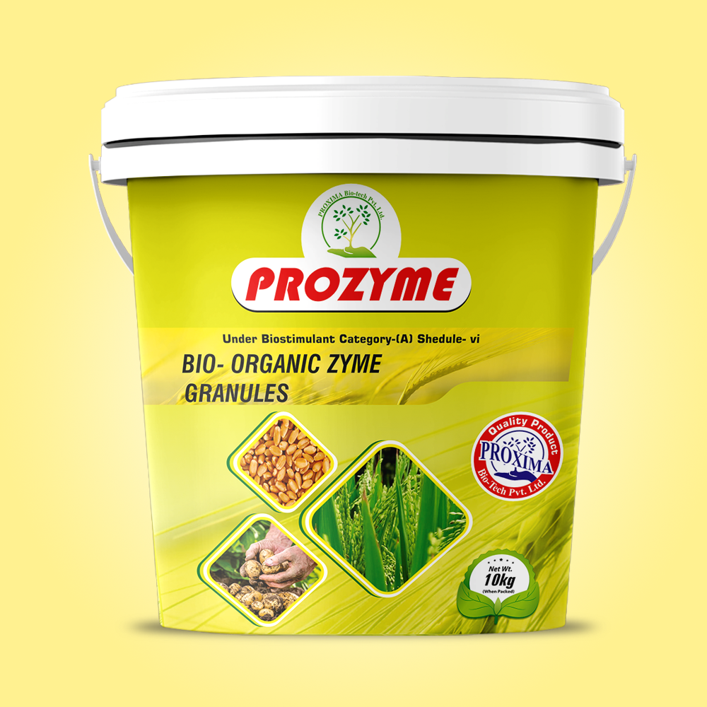 પà«àª°à« àªàª¾àª¯àª® બાયà«-àªàª°à«àªà«àª¨àª¿àª àªàª¾àª¯àª® àªà«àª°àª¾àª¨à«àª¯à«àª²à«àª¸