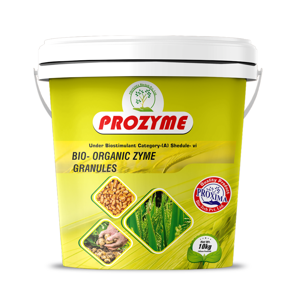 પà«àª°à« àªàª¾àª¯àª® બાયà«-àªàª°à«àªà«àª¨àª¿àª àªàª¾àª¯àª® àªà«àª°àª¾àª¨à«àª¯à«àª²à«àª¸