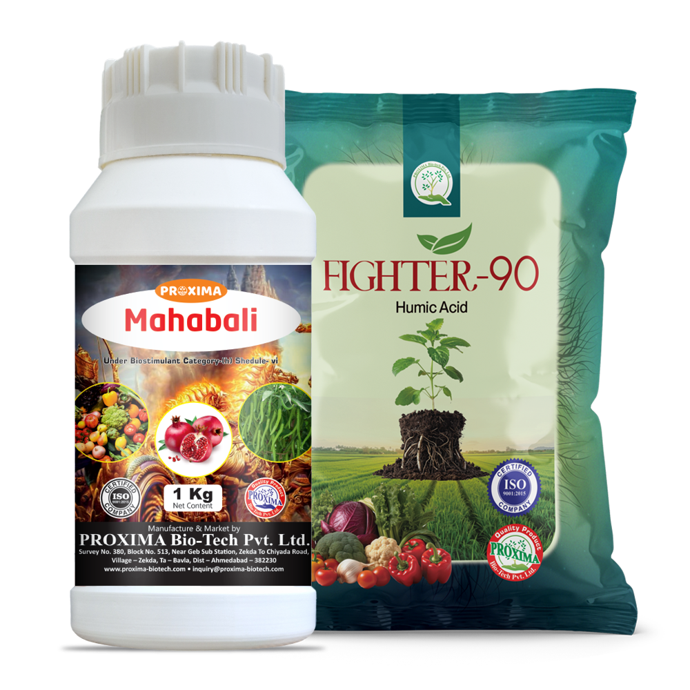 Fighter-90 - Agriculture Grade Humic & Fulvic Acid Powder | 98% Purity, 100% Solubility, Enhances Water Holding Capacity And Root Growth