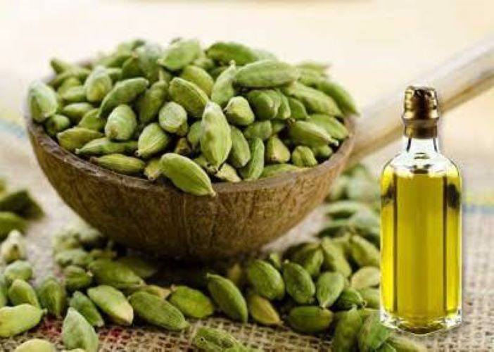 Cardamom Extract Oil - Odour: High