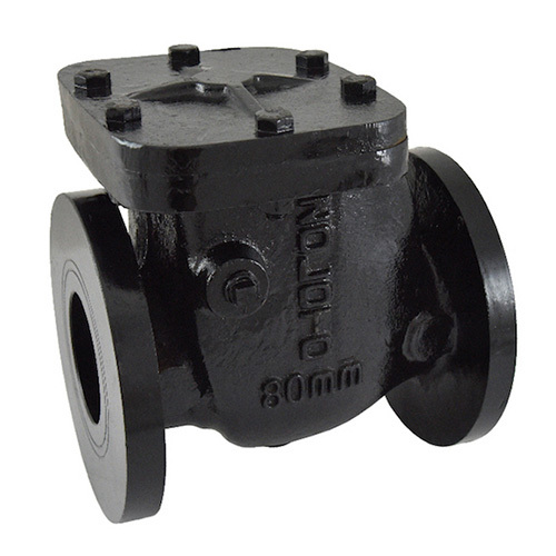 1083 Cast Iron Non Return Valve Pn 1.0-flanged - Color: Black