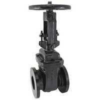 1079C Cast Iron Sluice Valve PN 1.0-Flanged With Rising Stem