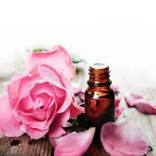 Rose Oil - Purity: High