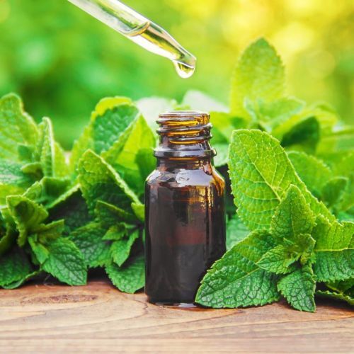 Peppermint Oil - Age Group: All Age Groups