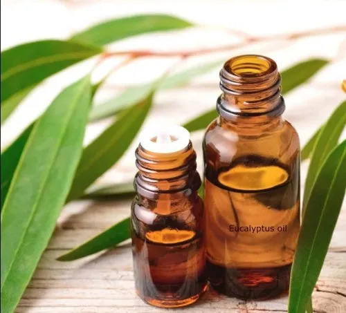Eucalyptus Essential Oil - Age Group: All Age Groups
