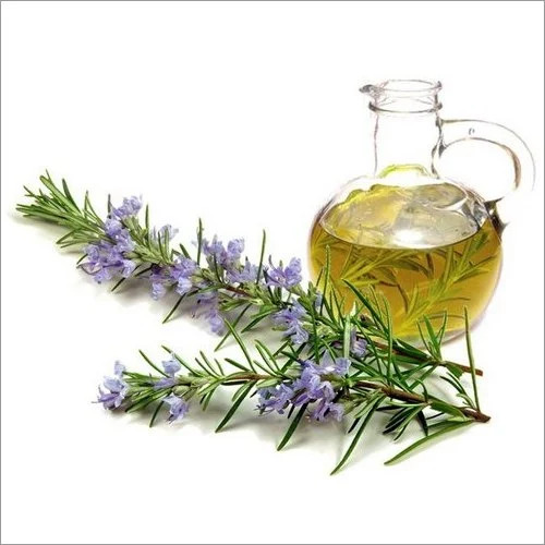 Rosemary Essential Oil - Age Group: All Age Groups