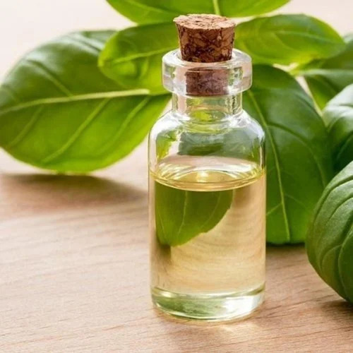 Basil Oil - Age Group: All Age Groups