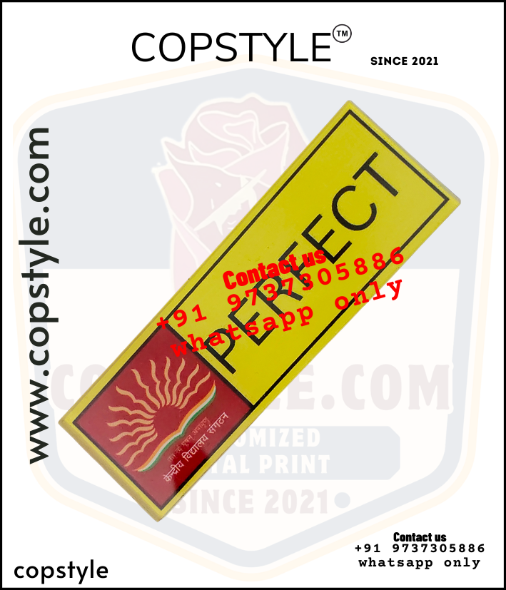 Ncc School Badge - Badge Type: Pin