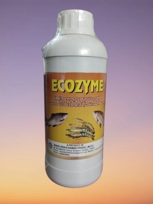 Enzyme (Ecozyme)