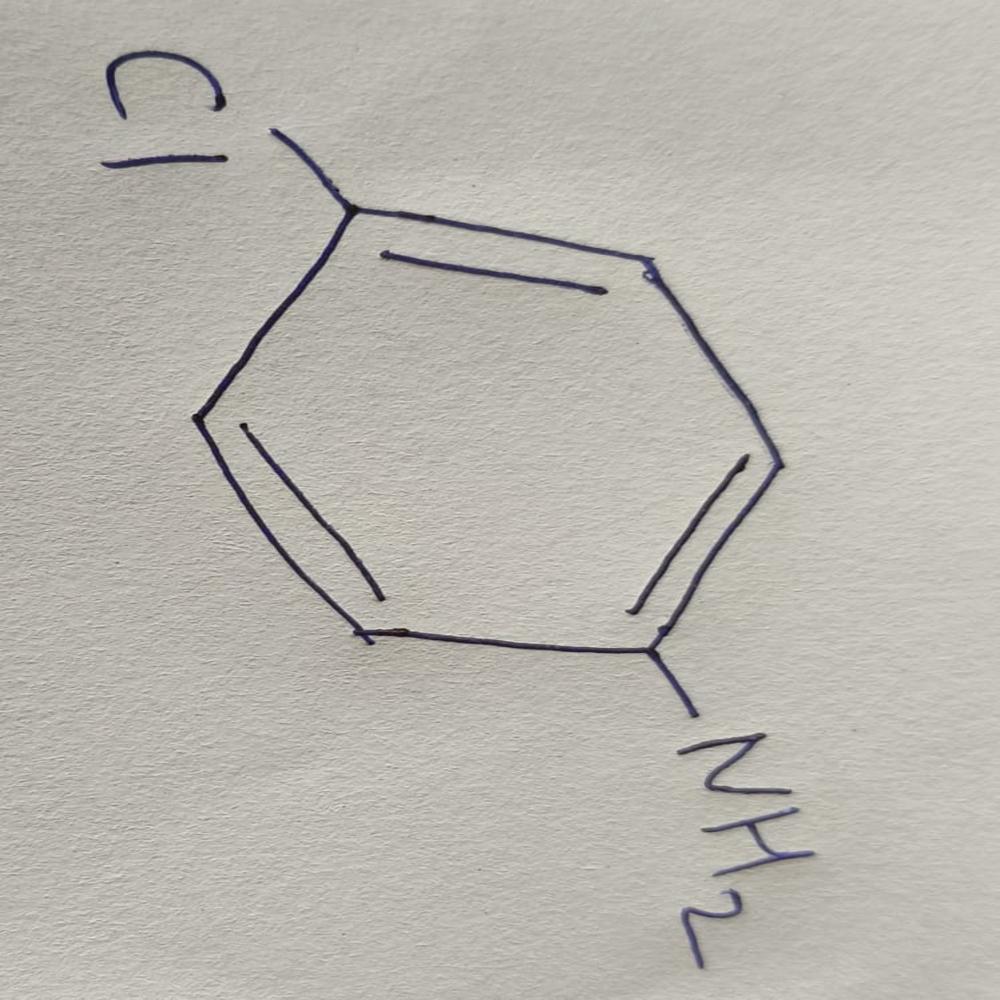 Para Chloroamine Cas No. 106-47-8 - Grade: Industrial Grade