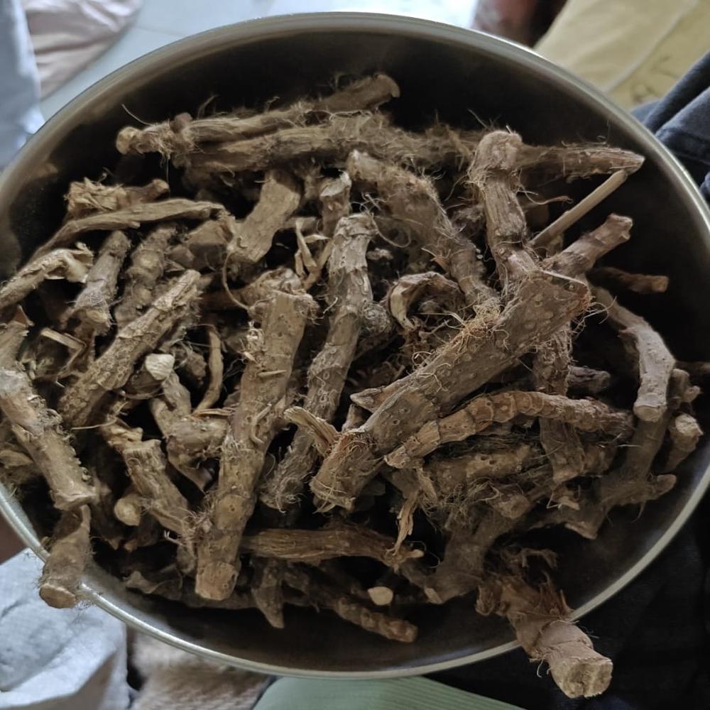 Vekhand / Aikhand - Age Group: Suitable For All