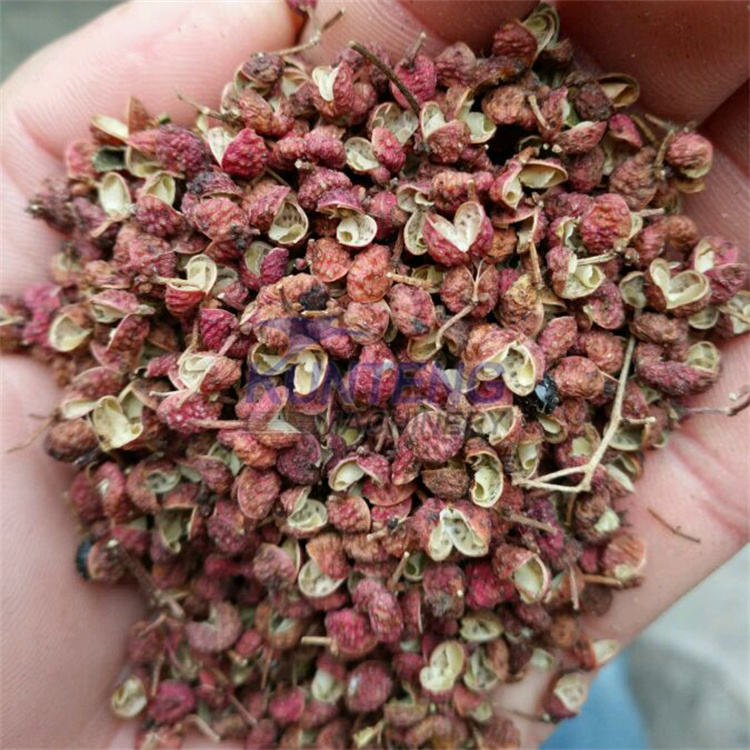 Best Price Mesh Belt Dryer Spice Drying Oven Machine Industrial Pepper Dryer Equipment