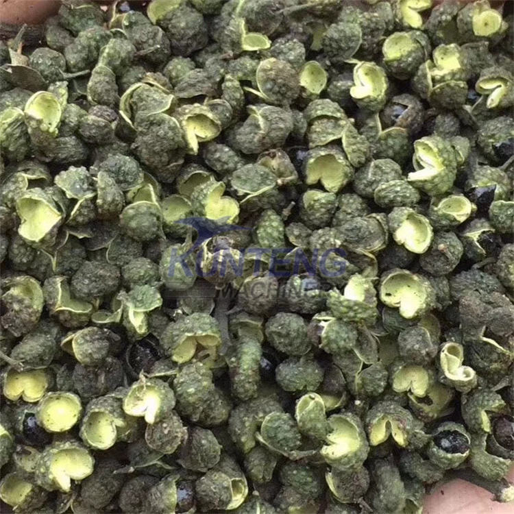 Best Price Mesh Belt Dryer Spice Drying Oven Machine Industrial Pepper Dryer Equipment